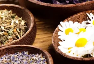 Pamela Simon - Tierheilpraktiker - Phytotherapie