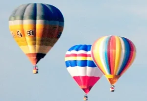 Pamela Simon - Tierheilpraktiker - Coaching für Tierhalter